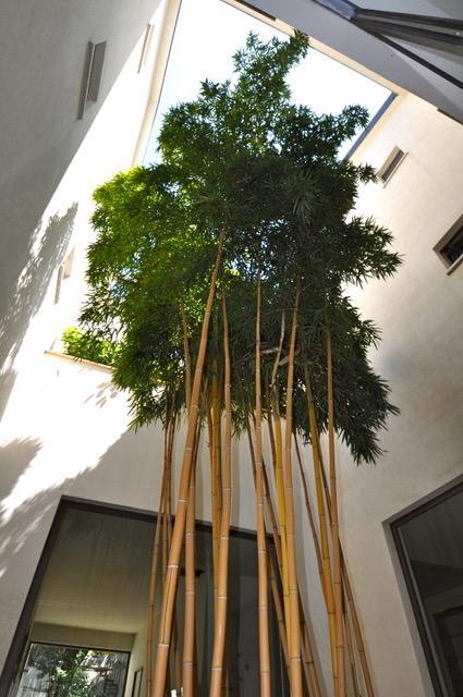 La Dimora Residence Milán Exteriér fotografie